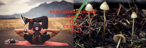 мет Алзамай