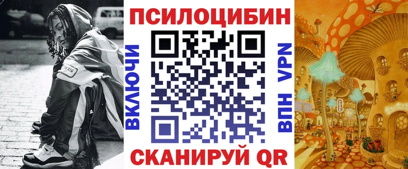 mega ONION  даркнет клад  Галлюциногенные грибы прущие грибы  Мураши 